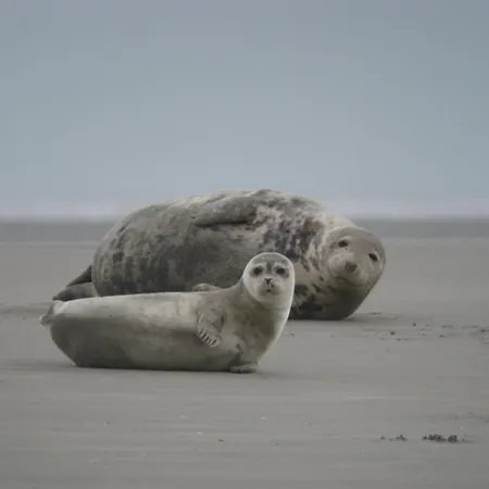 Le Saint-georges Apartment *