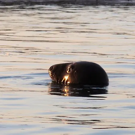 Apartment Le Saint-georges Berck