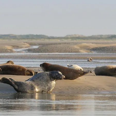 Appartamento Le Saint-georges *