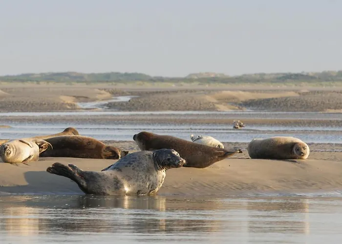 Appartement Le Saint-georges *